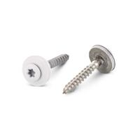 Spengler A2 4,5X25 TX20 RAL 9010DS 15 mm