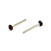 Spengler A2 4,5X45 TX20 RAL 8017DS 15 mm