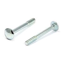 Mushroom  bolt  6 x 100  DIN 603 zp
