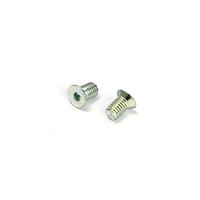 Screw V-06-026-003 M5 x 8  zp Cr3+