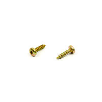 Chipboard s. 5,0 x 20  PAN  TORX 25 yzT25