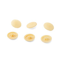Cap PH2 pale pine color