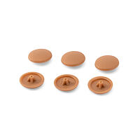 Cap PH2 beech 382 color