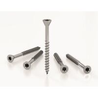 SHS-AS screw conical head 3,5x60 AISI410