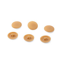 Cap PH2 oak 781 color