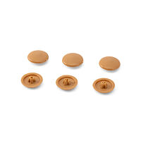 Cap PH2 deep pine color