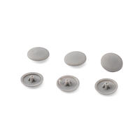 Cap PH2 grey color