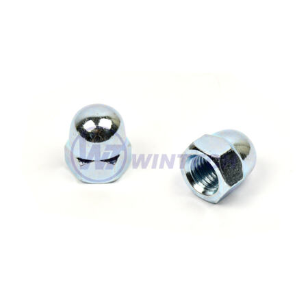 DIN 1587 nuts M14 zpcl. 6