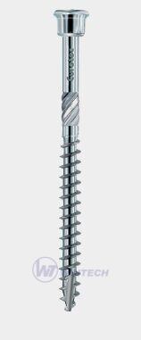 Terrassotec inox  4,0 x 60 T20 C1