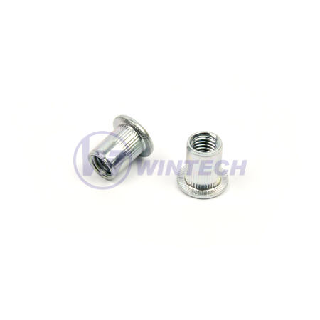 Rivet Nut Flat Head M10steel, zinc plated