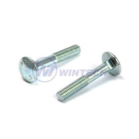Mushroom  bolt  5 x 60  DIN 603 zp