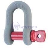 High tensile dee shackle