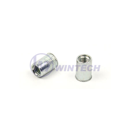 Rivet Nut Flat Head M10steel, zinc plated
