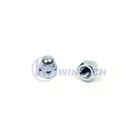 DIN 1587 nuts M10 zpcl. 6