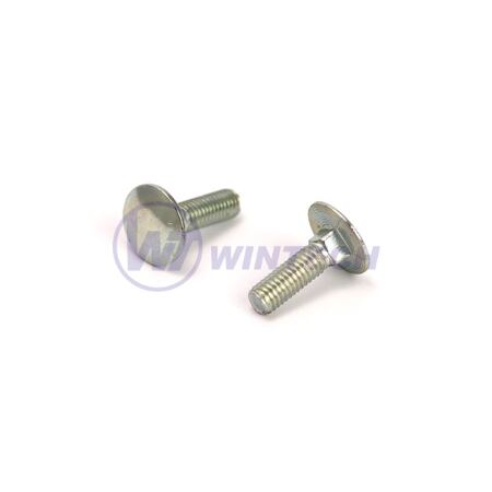 Mushroom  bolt  5 x 25  DIN 603 zp