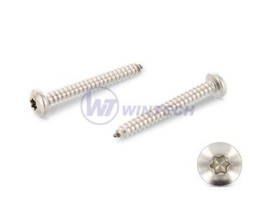 DIN 7981 C 6,3 x120 DIN 7981C A4Tapping screw TX 30