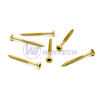 Chipboard s. 3,5 x 35/24 FCSK TORX20 yzp