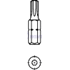 Bit T15 - 25mm, WINTECHHex Insert Bit 1/4" // Bit T15 - 25mm