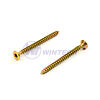 Chipboard s. 5,0 x 60 F CSK TORX 25 yzp
